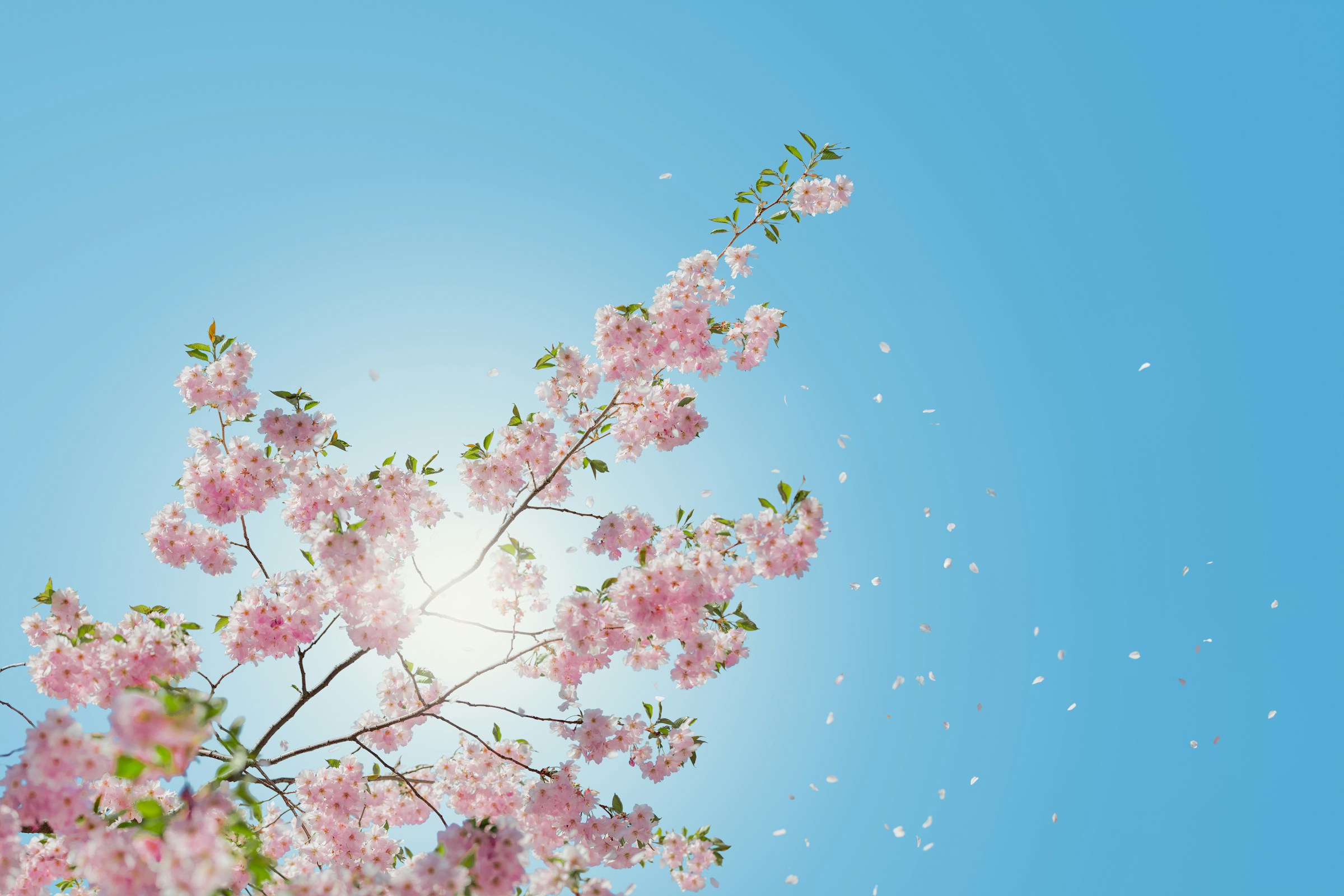 Spring Equinox